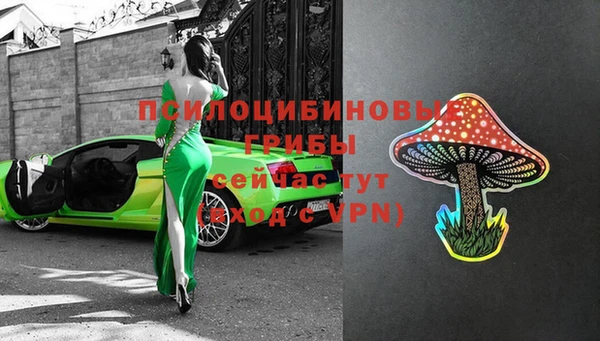 a pvp Алексин
