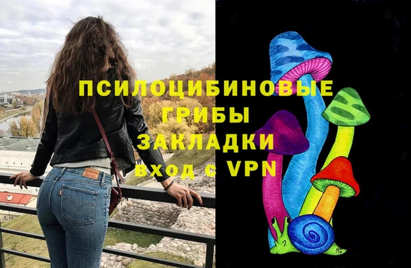 a pvp Алексин