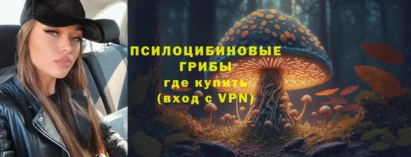 a pvp Алексин