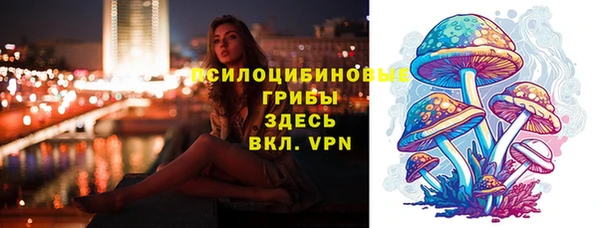 синтетический гашиш Алексеевка
