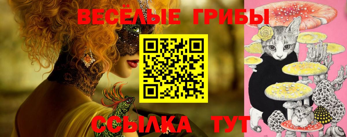 Галлюциногенные грибы Cubensis Дмитров